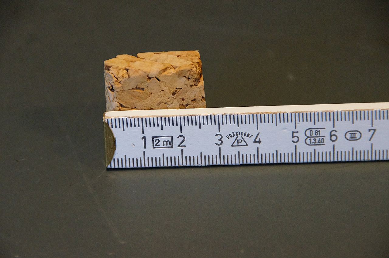 Bild  Winni, Antifensterknall! (24) wird geladen, bitte warten...