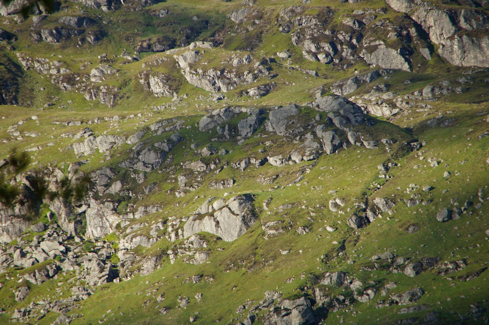 Bild  DSC03658 wird geladen, bitte warten...