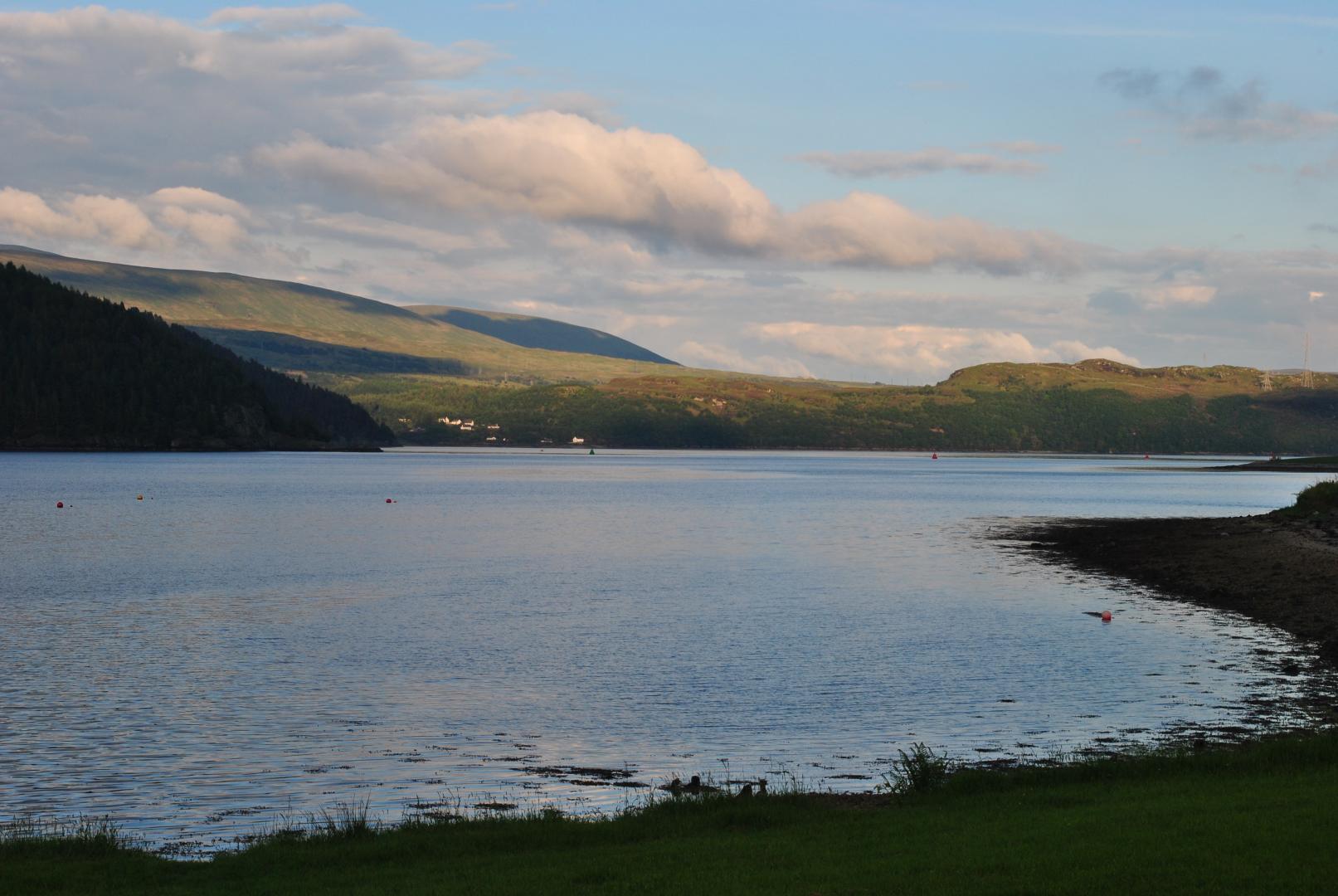 Bild  DSC 0076 wird geladen, bitte warten...