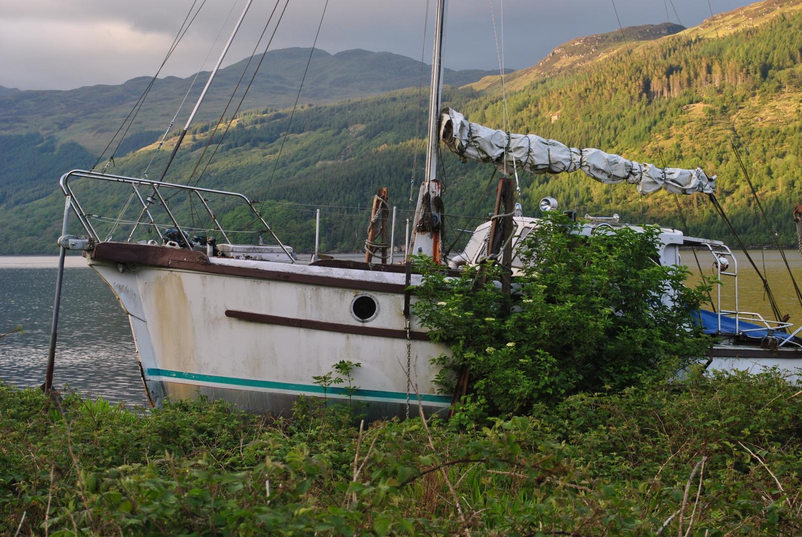 Bild  DSC 0114 wird geladen, bitte warten...