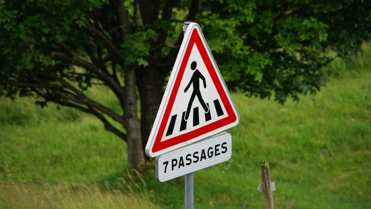 Bild  DSC07783 cr wird geladen, bitte warten...