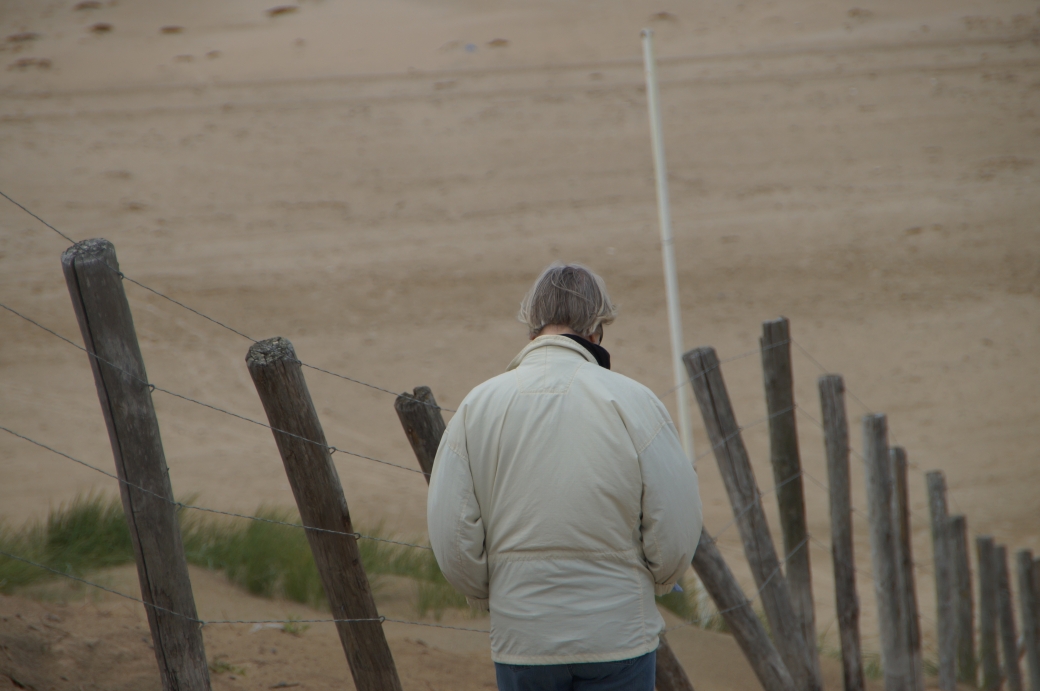 Bild   DSC00866 wird geladen, bitte warten...